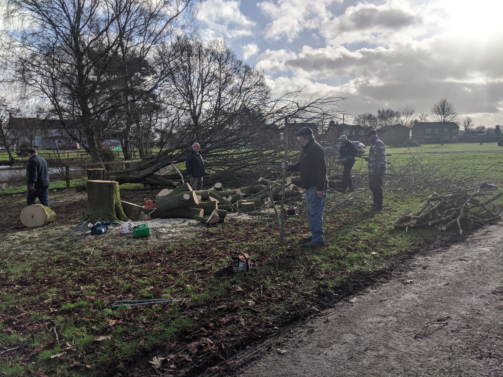 Lots of chainsaw work